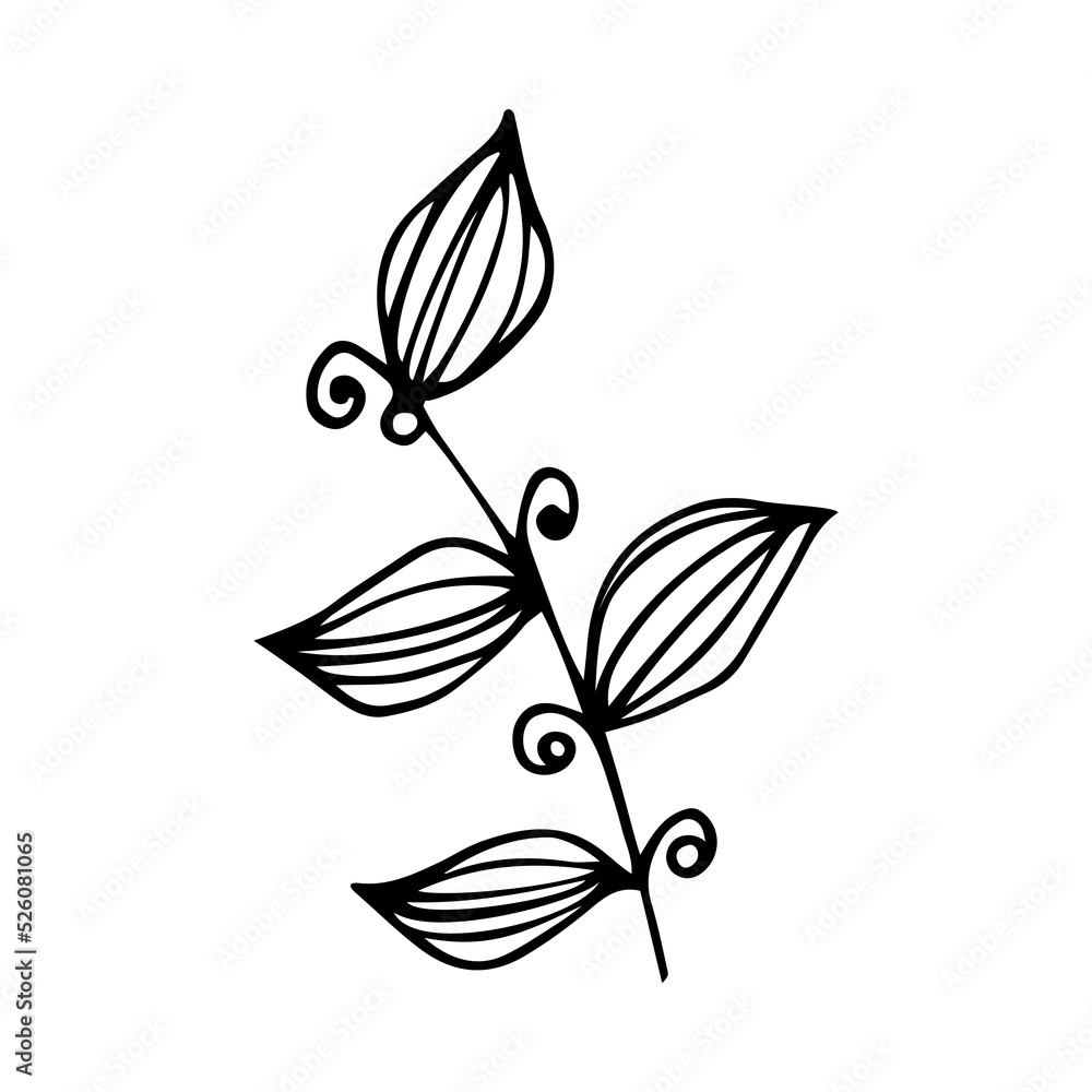 Obraz premium Hand drawn floral, branch and herbal elements. Black doodle vector illustration on white background for your design, greeting card and logo.