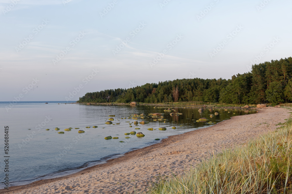 Pedassaare beach in Lääne-Viru County, Estonia