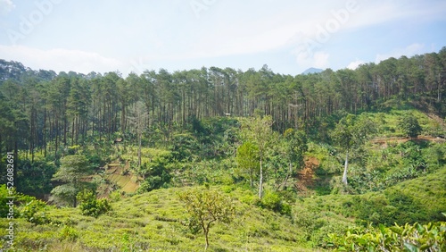 beautiful natural landscape mountains hilly nature panorama, with forest of tall green trees and green slopes under cloudy blue sky in daytime
