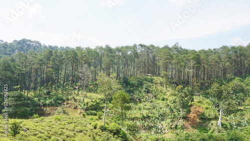 beautiful natural landscape mountains hilly nature panorama, with forest of tall green trees and green slopes under cloudy blue sky in daytime