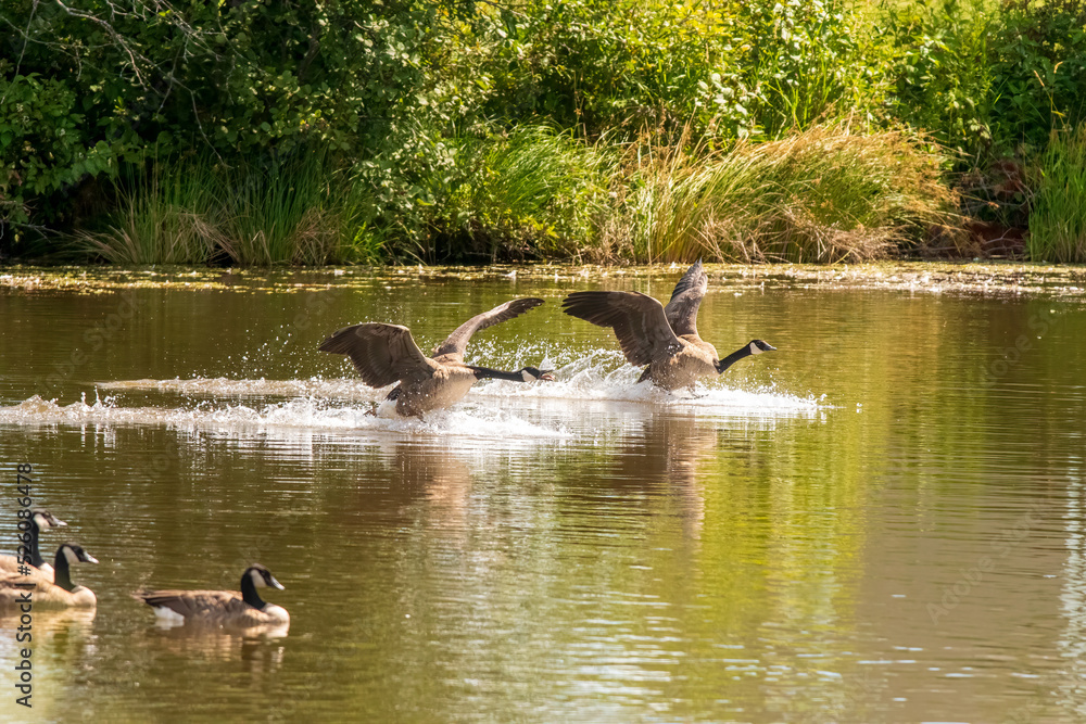 all photos are of nature and landscapes all photos are of nature and landscapes