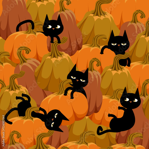 Seamless halloween pumpkins pattern. Cartoon black cats in orange pumpkins.