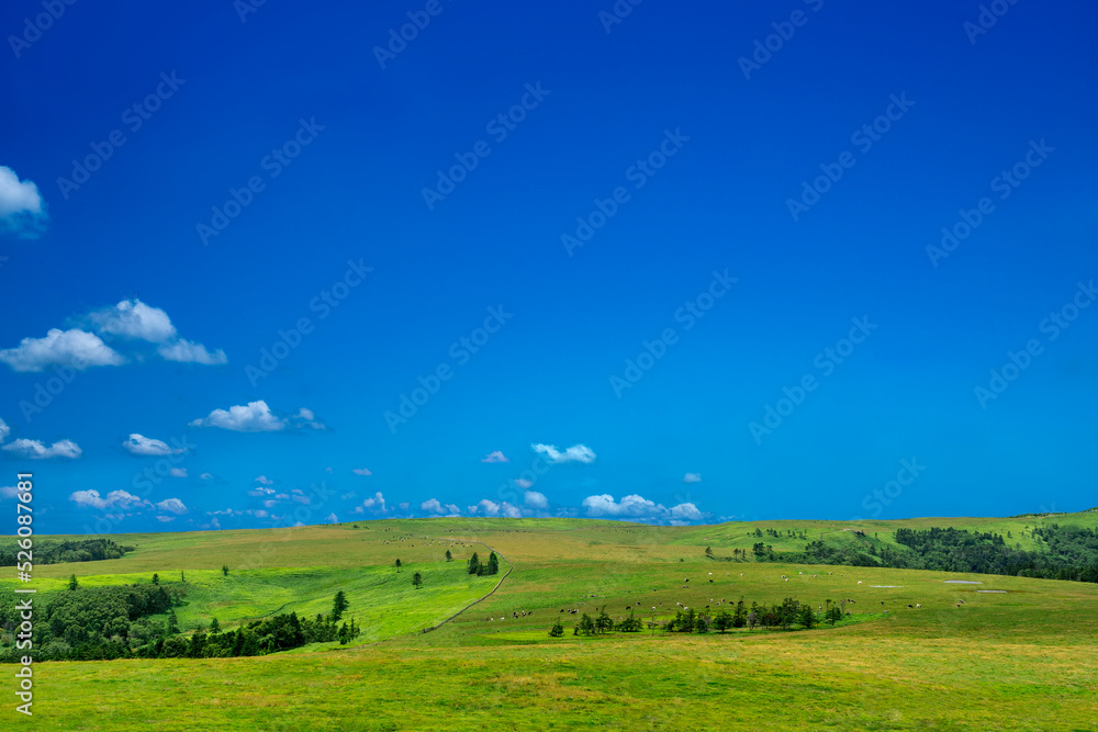 青空を背景にした地平線の見える草原