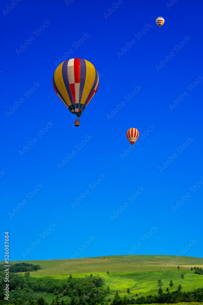 Obraz premium 青空を背景にした地平線の見える草原と熱気球