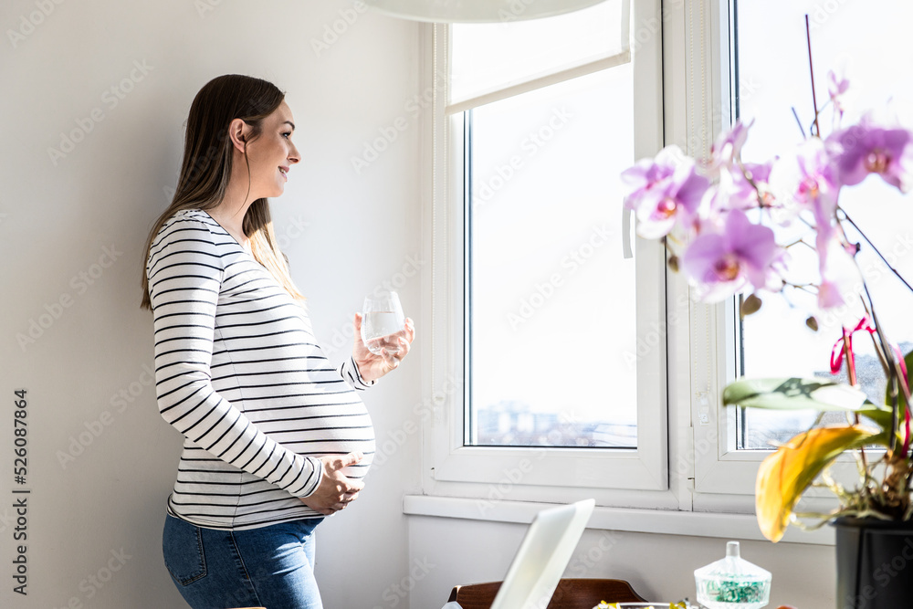 Pregnant woman at home standing in front of the window.