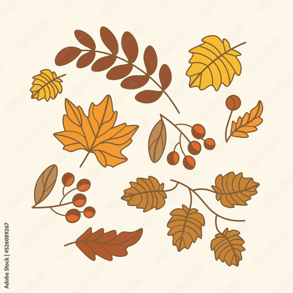 Obraz premium set of vector leaves and berries with outline