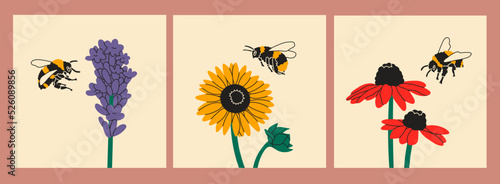 Puffy bumblebees or Bees flying near various flowers. Bee collects pollen. Spring, summer, nature concept. Set of three hand drawn modern Vector illustration. Logo, print, design template
