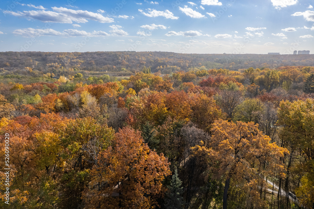 Aerial view of autumnal park under cloudy sky.
