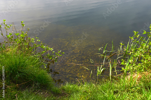 Am Kämersee bei Mantinghausen, Teichufer