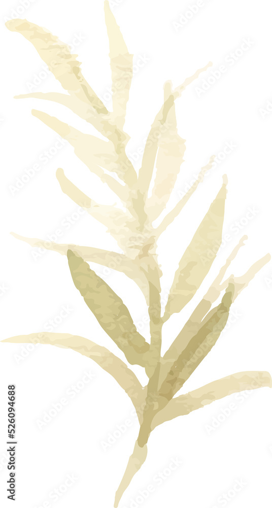 Leaves Watercolor Illustration Leaves Watercolor Illustration