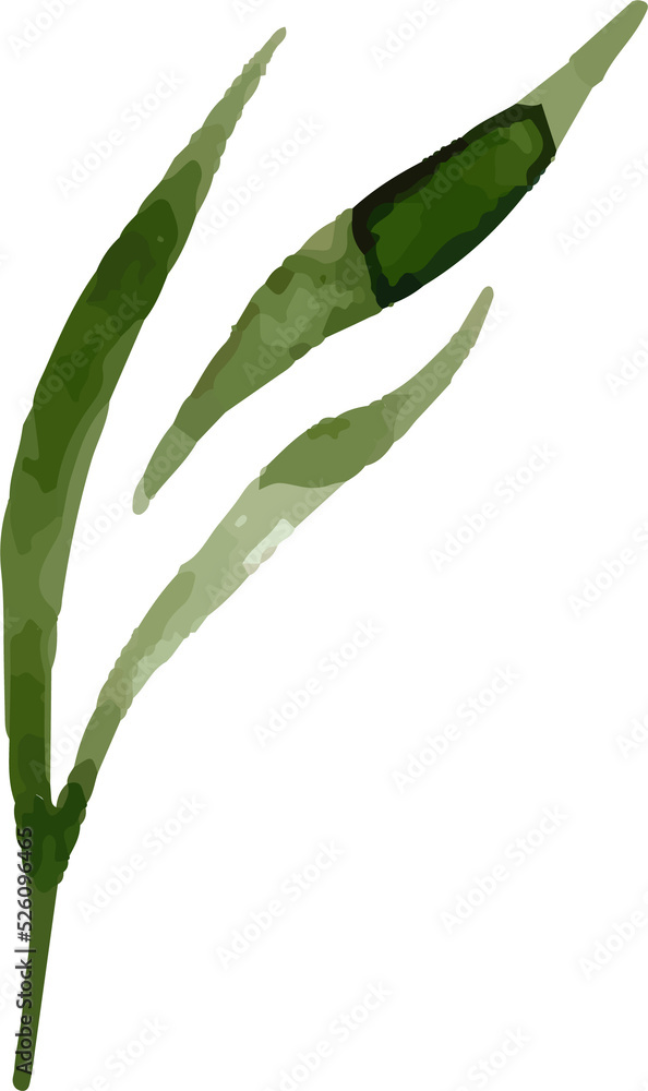 Green Leaves Watercolor Green Leaves Watercolor