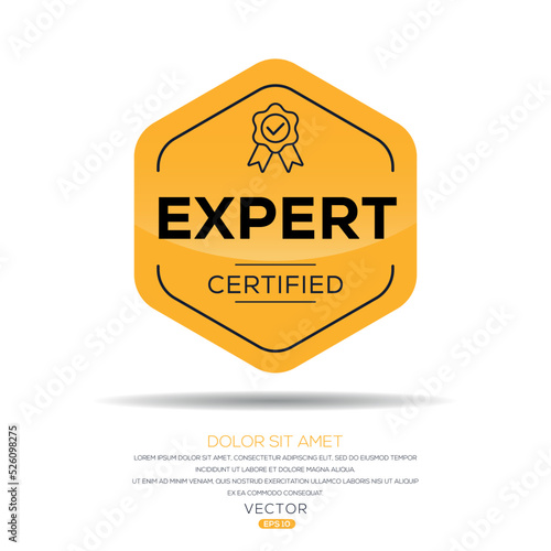 Creative (Expert) Certified badge, vector illustration.