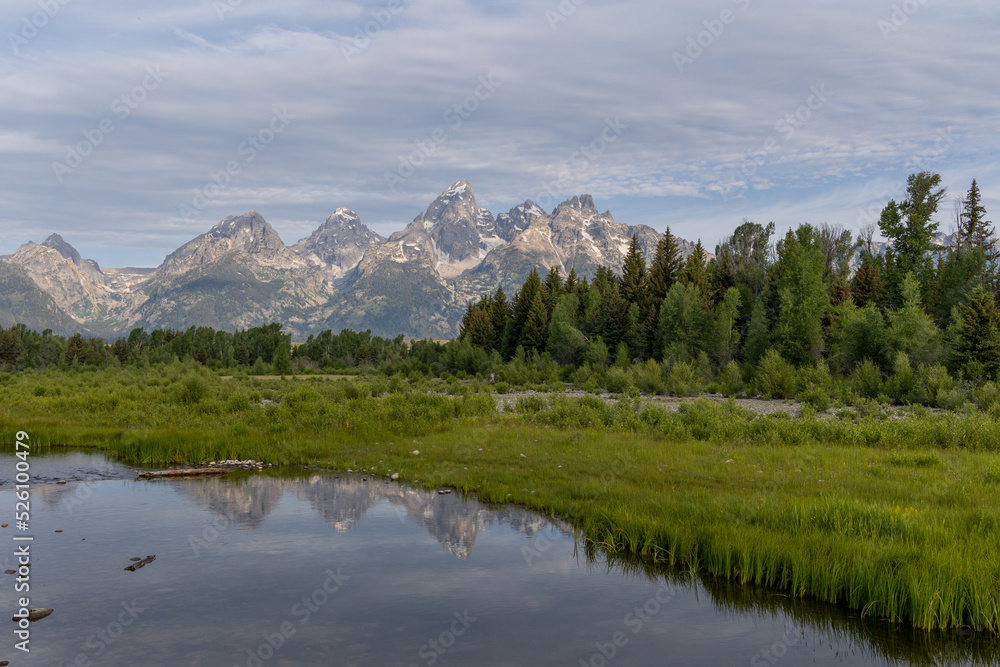 Scenic Reflection Landscape in the Tetons in Summer