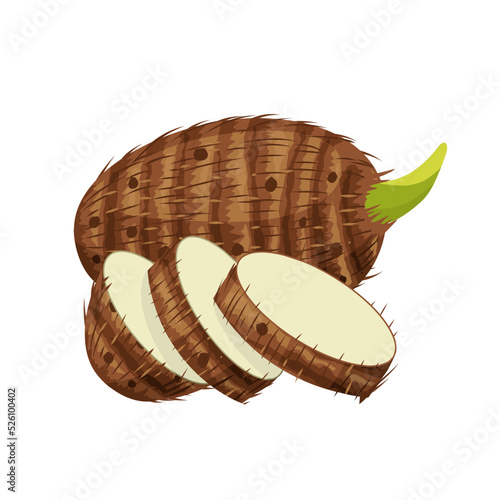 Vector illustration of taro or Colocasia esculenta, with slices, isolated on white background.