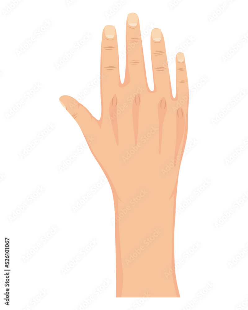 hand human up hand human up