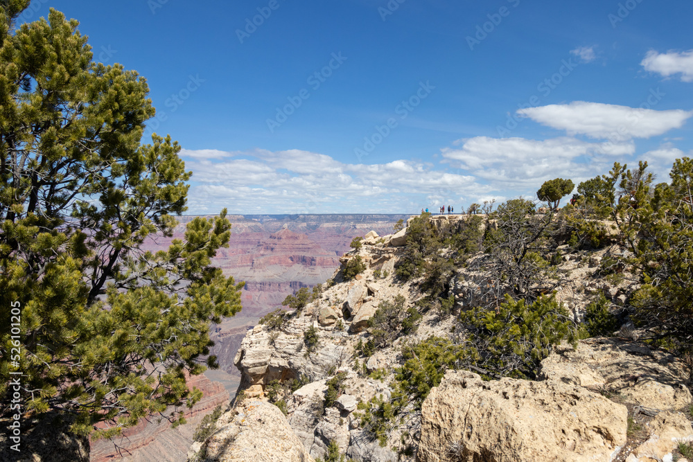 Tourists on the edge of the Grand Canyon