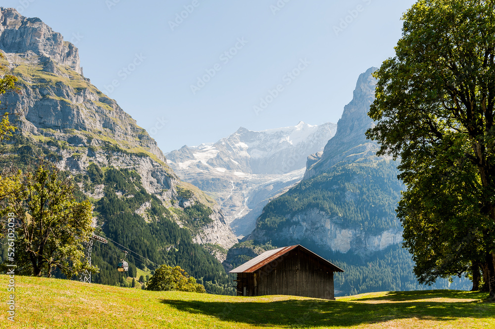 Obraz premium Grindelwald, Unterer Grindelwaldgletscher, Eiger, Eigernordwand, Schreckhorn, Alpen, fiescherhörner, finsteraarhorn, Berner Oberland, Bergdorf, Bergwiesen, Landwirtschaft, Sommer, Schweiz