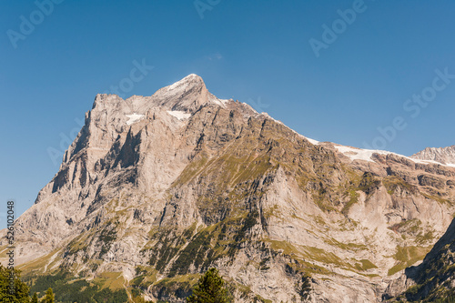 Grindelwald  Wetterhorn  Grosse Scheidegg  Oberer Gletscher  Schreckhorn  Alpen  Berner Oberland  Wanderweg  Bergdorf  Bergwiese  Bergblumen  Bergbahn  Sommer  Schweiz