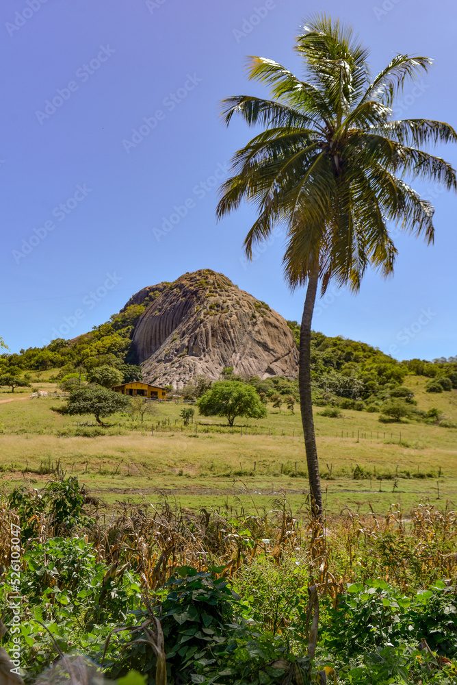 coconut tree in the mountains, mouth stone, pass and stay, large northern river, natural landscapes, mountain background coconut tree in the mountains, mouth stone, pass and stay, large northern river, natural landscapes, mountain background