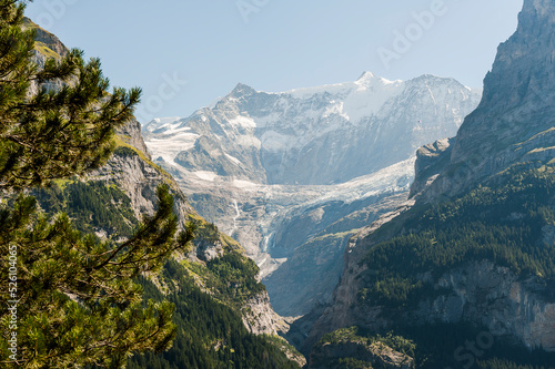 Grindelwald, Unterer Grindelwaldgletscher, Eiger, Eigernordwand, Schreckhorn, Alpen, fiescherhörner, finsteraarhorn, Berner Oberland, Bergdorf, Sommer, Schweiz photo