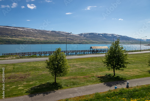 Beautiful hill with flours and garden on a beautifull summer morning in Akureyri, Iceland