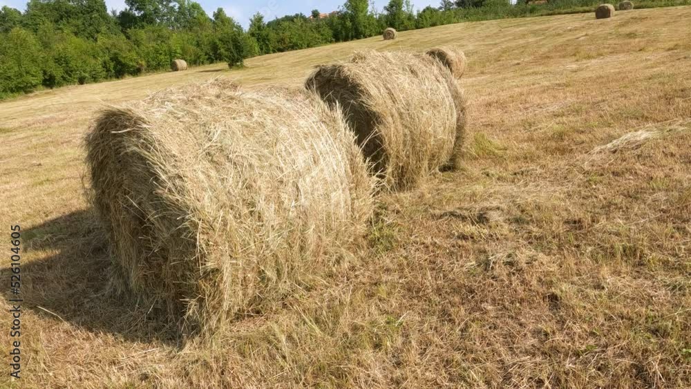 Countryside summer nature landscape. Golden round hay bale on agriculture farm fields after harvest. Rural scenery.
