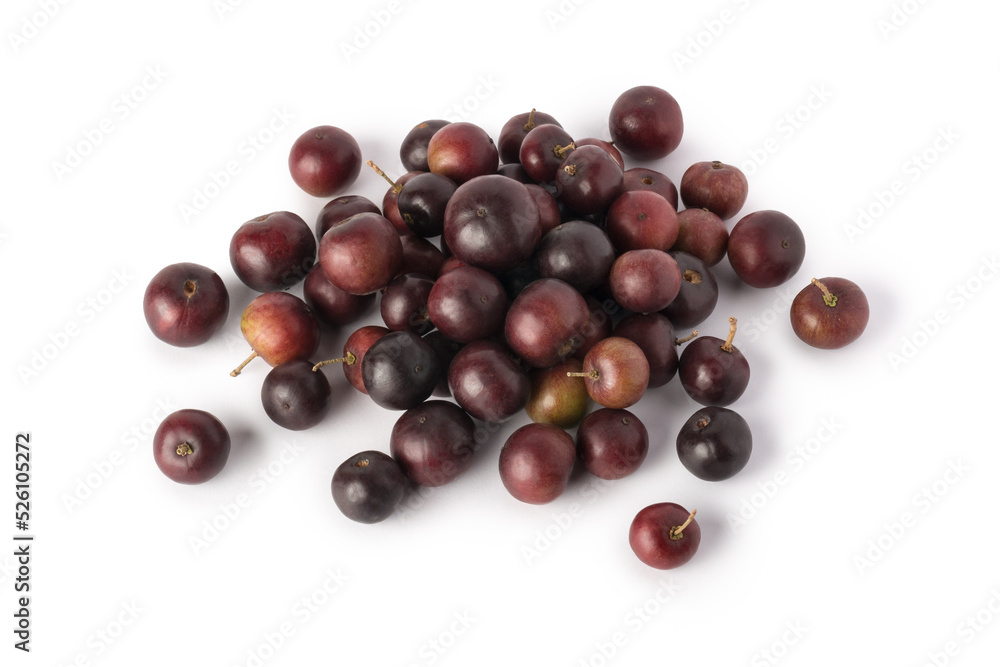 heap of governor's plum fruits, flacourtia indica, also known as ramontchi, madagascar plum or indian plum, reddish black fleshy fruits isolated on white background heap of governor's plum fruits, flacourtia indica, also known as ramontchi, madagascar plum or indian plum, reddish black fleshy fruits isolated on white background