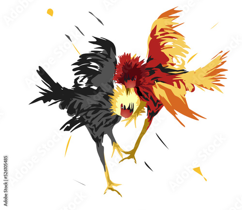 Two chickens face each other in a fight