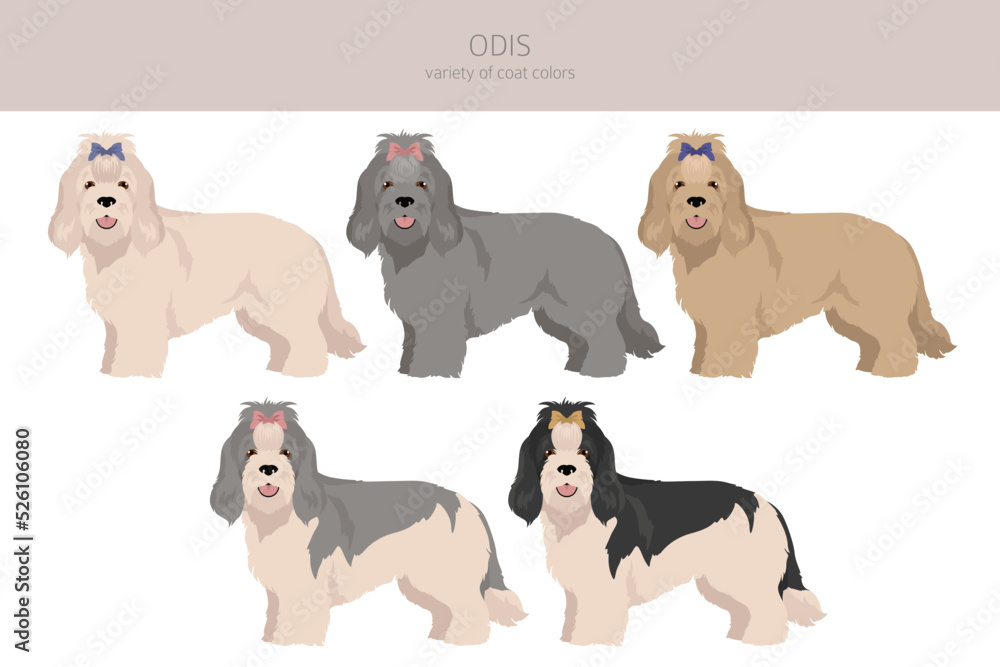 Odis dog clipart. Different poses, coat colors set Odis dog clipart. Different poses, coat colors set