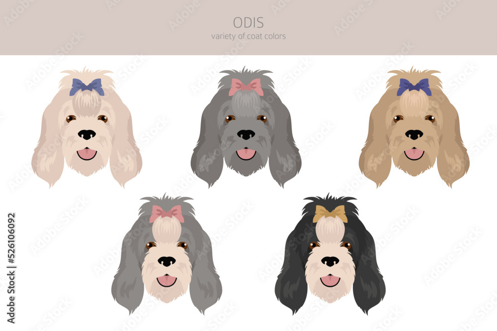 Odis dog clipart. Different poses, coat colors set