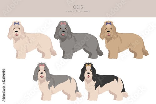 Odis dog clipart. Different poses, coat colors set