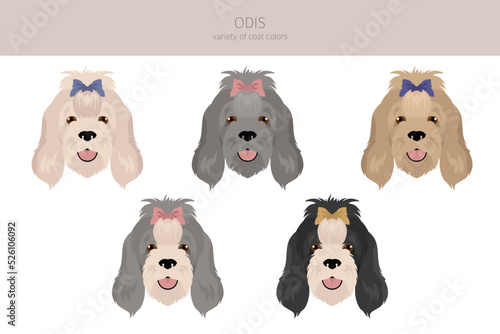 Odis dog clipart. Different poses, coat colors set