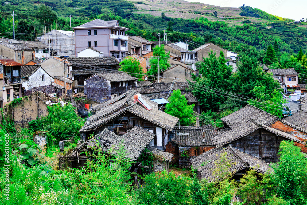 houses in the village houses in the village