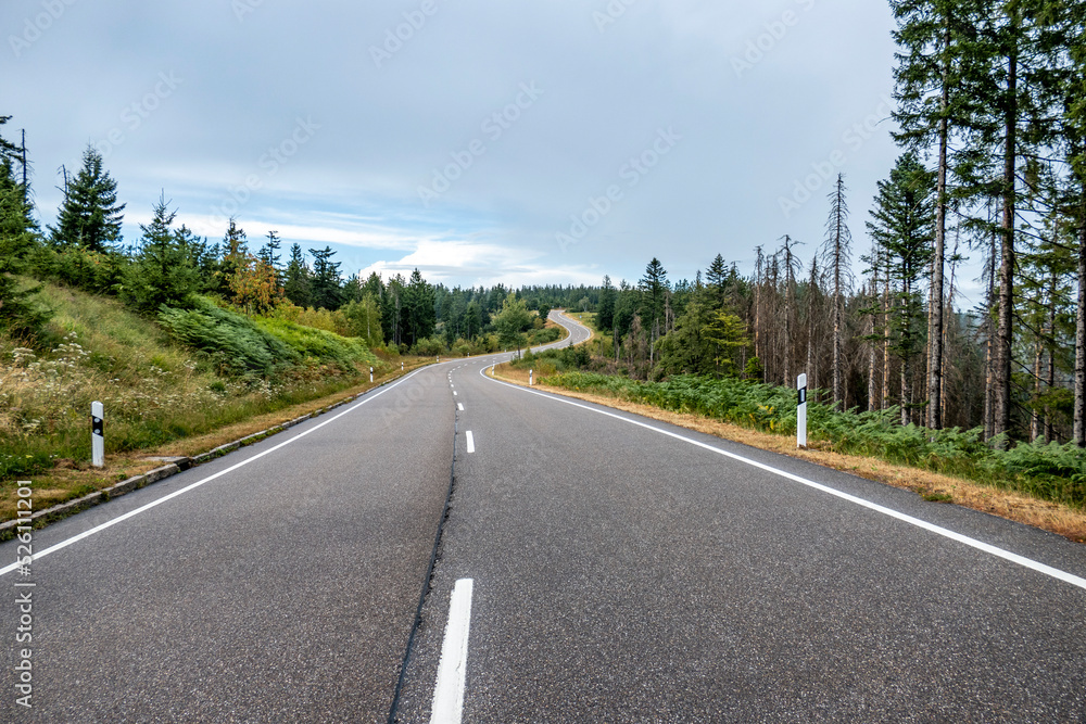 Foresta Nera (Germania) Foresta Nera (Germania)