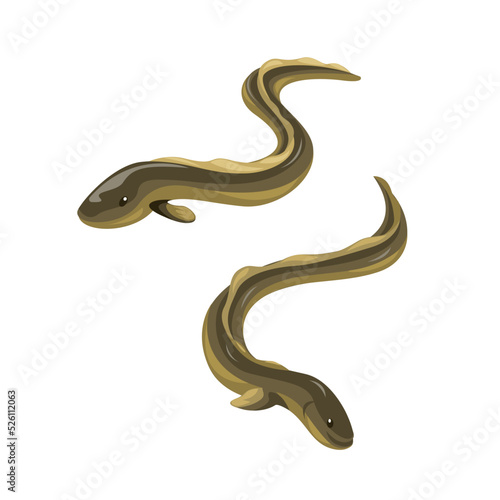 eel fish animal character set illustration vector
