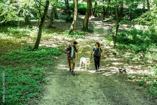 Young happy couple and their dog at hiking through the woods enjoying the sight. Two nature lovers in the mountain forest enjoy healthy walking through the nature. With film grain selective focus © Srdjan