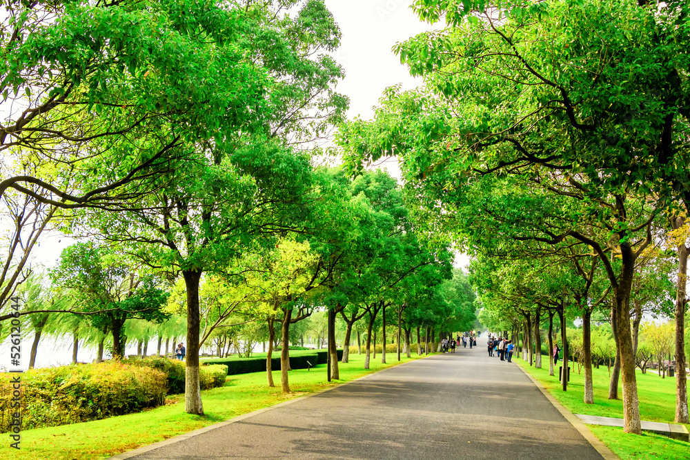 alley in the park