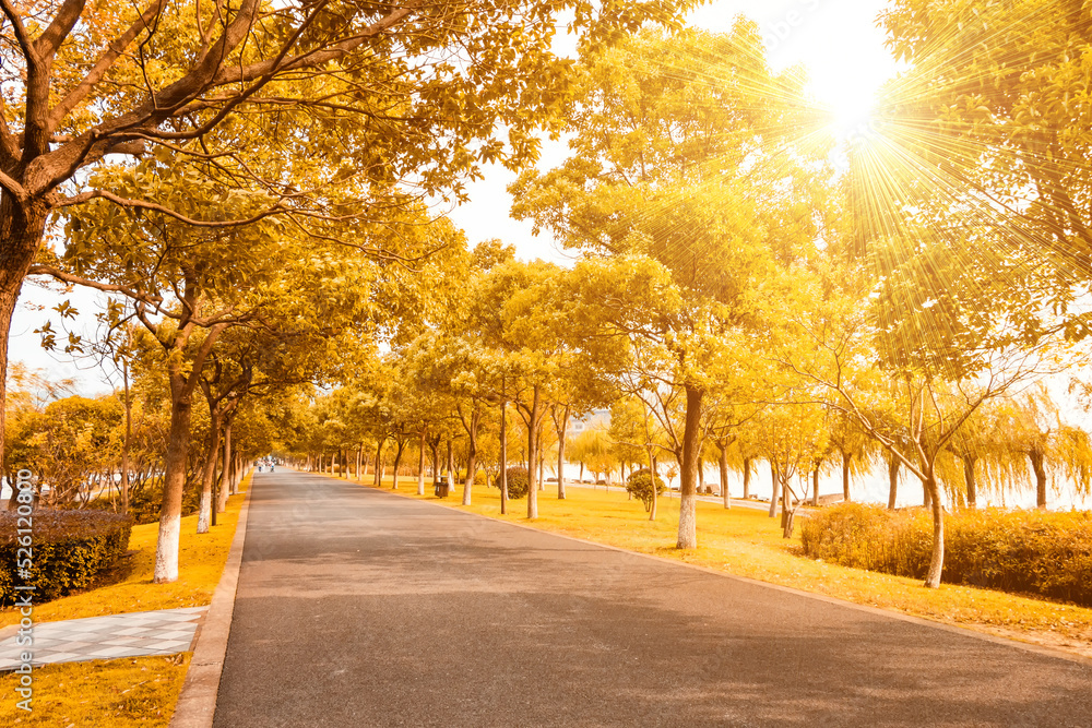 alley in the park