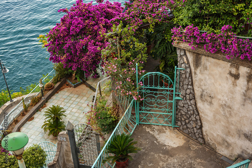 Fototapeta Naklejka Na Ścianę i Meble -  Beautiful blooming Italian courtyard at a seaside villa