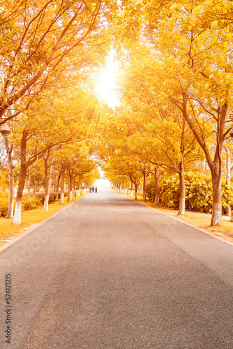 alley in the park
