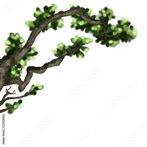 Watercolor tree branch. Illustration of a tree branch with green foliage