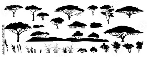 Set of plants and herbs. Silhouette picture. African savannah landscape. Africa acacia tree. Isolated on white background. Vector.