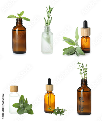 Fototapeta Naklejka Na Ścianę i Meble -  Set with bottles of different essential oils and leaves on white background