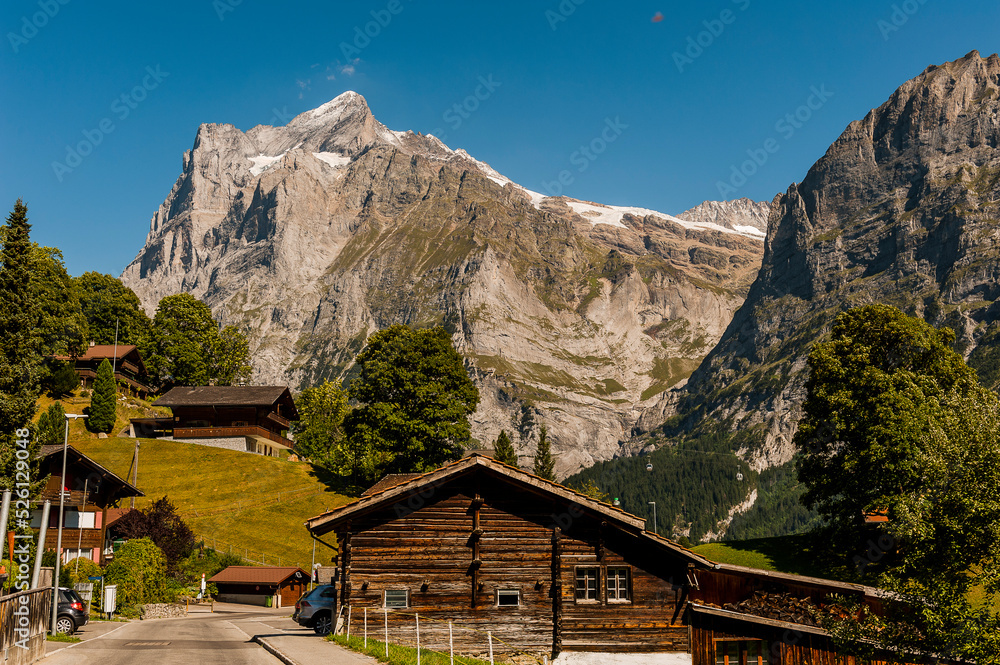grindelwald, wetterhorn, grosse scheidegg, oberer gletscher, schreckhorn, Bergstrasse, Wanderweg, Schreckhorn, Berner Oberland, Alpen, Landwirtschaft, Sommer, Schweiz grindelwald, wetterhorn, grosse scheidegg, oberer gletscher, schreckhorn, Bergstrasse, Wanderweg, Schreckhorn, Berner Oberland, Alpen, Landwirtschaft, Sommer, Schweiz