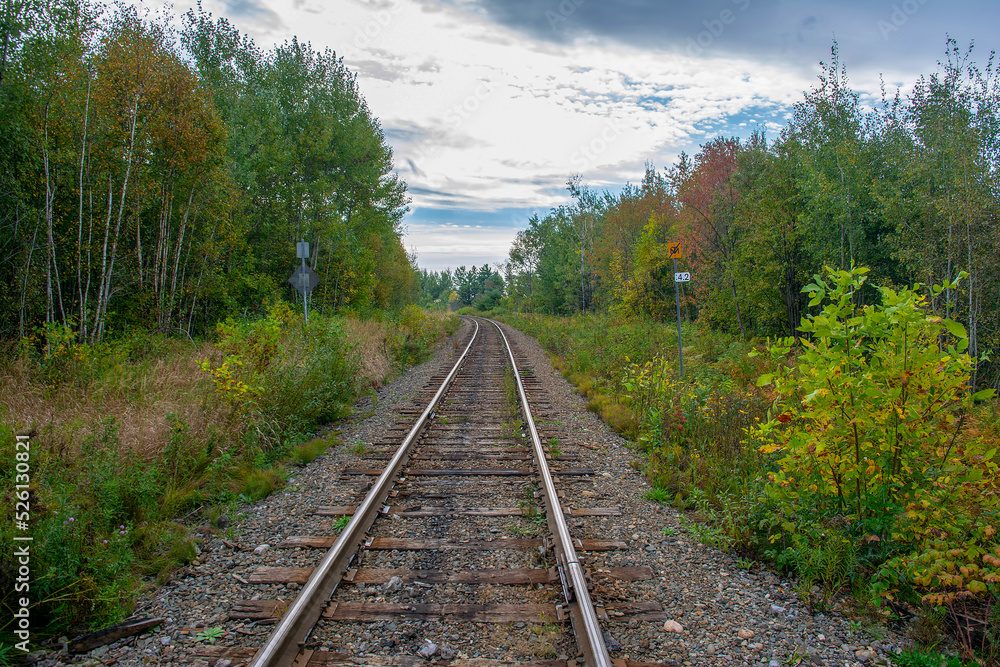 railway in the forest railway in the forest