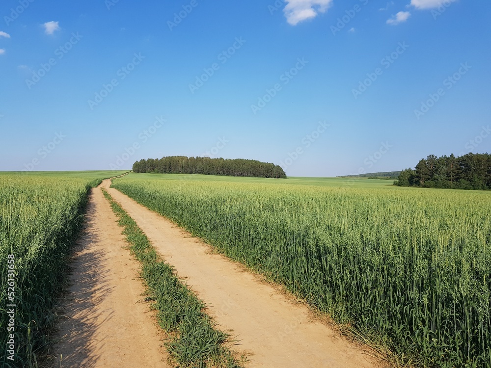 Country dirt road in the green field