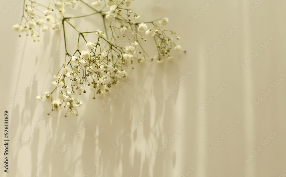 Soft focus flower twig and empty blank texture canvas paper with copy space . Light and shadows minimalism style template horizontal background. Soft focus flower twig and empty blank texture canvas paper with copy space . Light and shadows minimalism style template horizontal background.