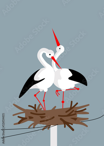 A pair of storks nestled lovingly on a power pole. Passionate love of birds in the nest