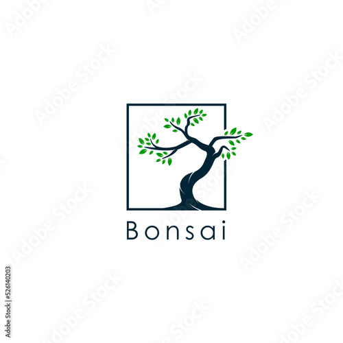 Vintage retro style bonsai logo Premium Vector