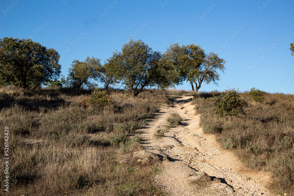 Fototapeta premium path in the mountains